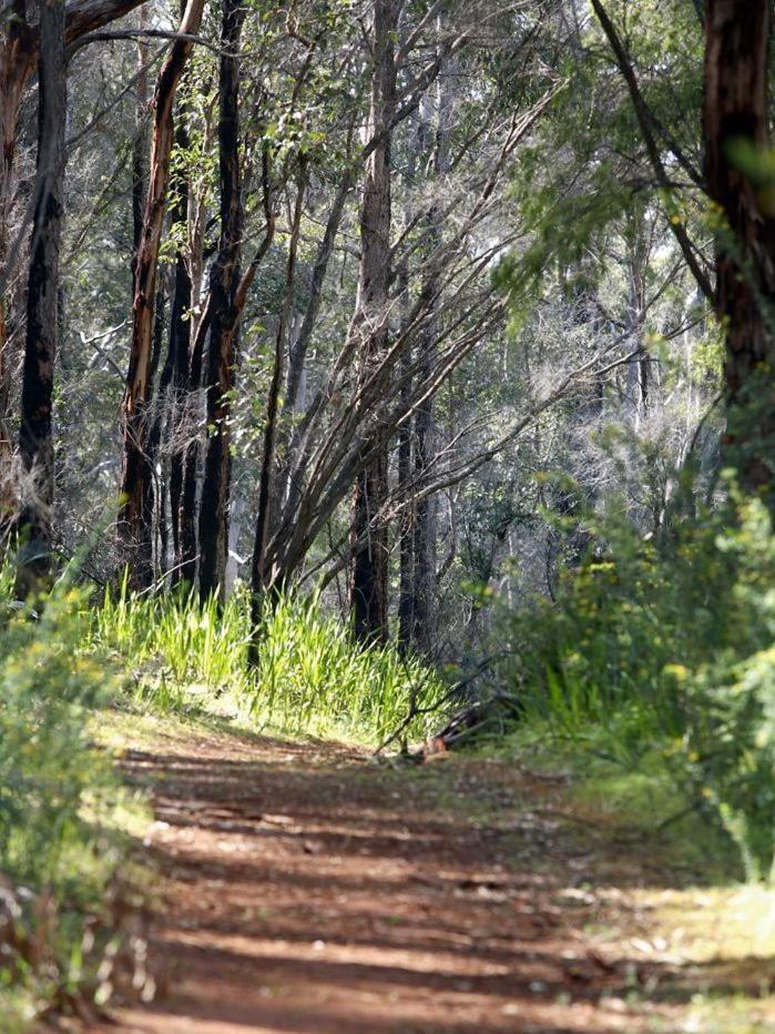Heritage Trail Lodge Margaret River Exteriör bild